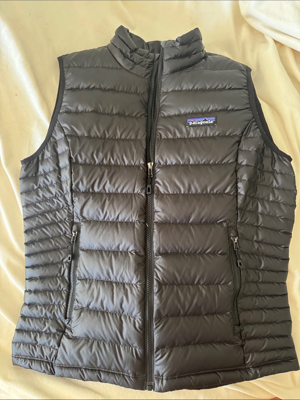 Patagonia Women’s Down Sweater Vest